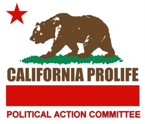 Political Action Committee Logo