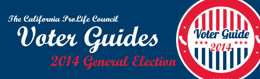 General-Election-Voter-Guides